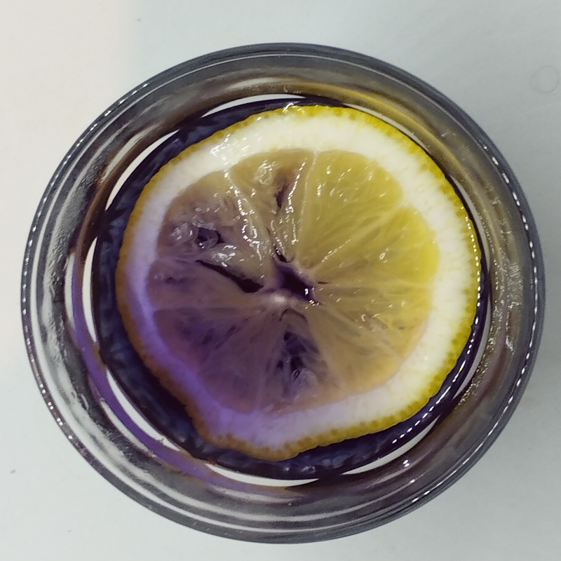 Fleur de pois papillon (Butterfly pea)